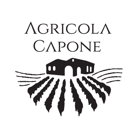 logo main